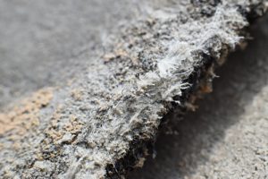 Example of asbestos fibers